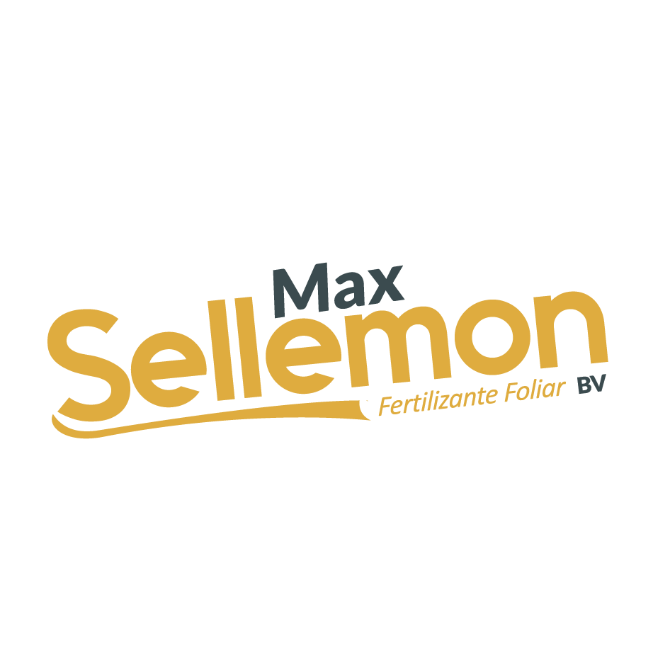 Max Sellemon BV